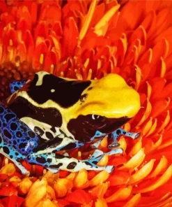 Orange And Blue Frog Diamond Painting