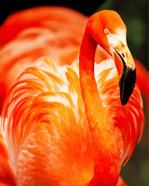 orange flamingo bird Diamond Paintings Orange Flamingo Bird Diamond Painting