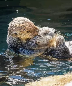 Otters Holding Hands Diamond Painting