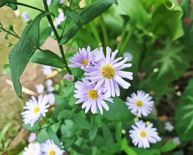 purple aster flowers Diamond Paints Purple Aster Flowers Diamond Painting