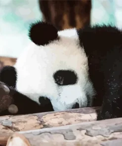 Sad Panda Diamond Painting