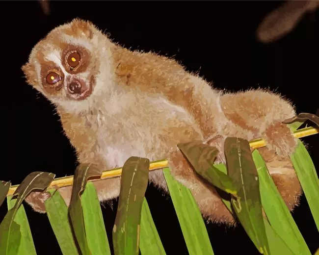 slow loris primate Diamond Paintings Slow Loris Primate Diamond Painting