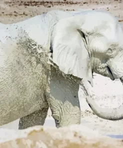 White Elephant Diamond Painting
